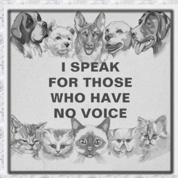 Meet your Posher, Kj - Picture 1 of 14